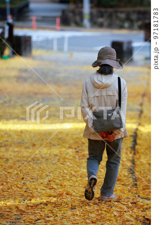 孤独な高齢者が散歩する秋 97181783