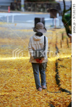 孤独な高齢者が散歩する秋 97181785