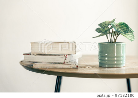 A stack of books and a houseplant in a pot on a blurred background. 97182180