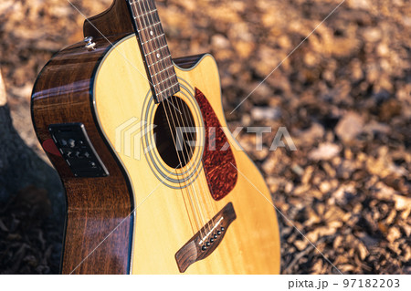 Acoustic guitar in the forest among dry autumn leaves. 97182203