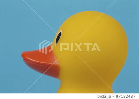 Muzzle of a yellow rubber duck in profile on a blue background. 97182437