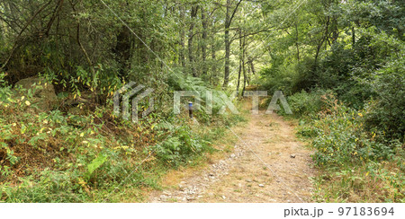 Lago de Sanabria y Sierras Segundera y de Porto Natural Park, Zamora, Spain 97183694