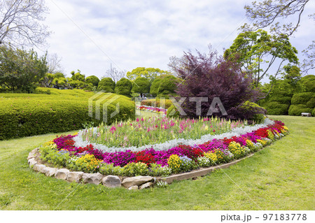 のこのしまアイランドパーク 花畑の風景 のこのしまアイランドパーク 花畑の風景 97183778