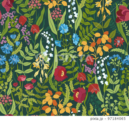 Wildflowers on dark green background seamless pattern. Vector illustration. Wildflowers on dark green background seamless pattern. Vector illustration. 97184065