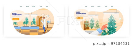 Hemp cultivation landing page design, website banner vector templates. Growing marijuana indoors under artificial light. 97184531