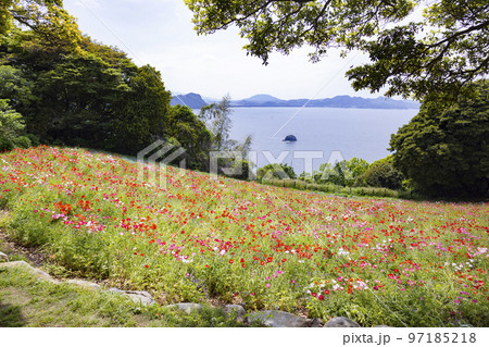 のこのしまアイランドパーク　花畑の風景 97185218