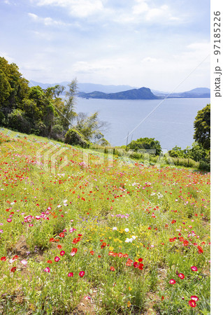のこのしまアイランドパーク 花畑の風景 のこのしまアイランドパーク 花畑の風景 97185226