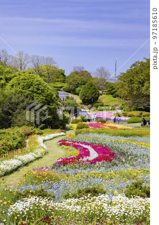 のこのしまアイランドパーク　花畑の風景 97185610