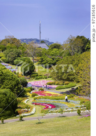 のこのしまアイランドパーク　花畑の風景 97185616