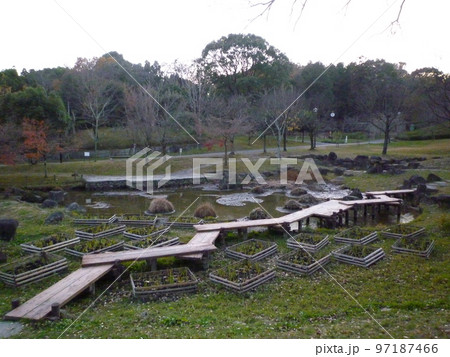 於大公園 知多郡東浦町 於大公園 知多郡東浦町 97187466
