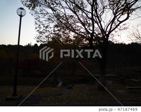 於大公園　知多郡東浦町 97187469
