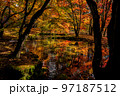 雲場池周辺の水辺と紅葉 97187512