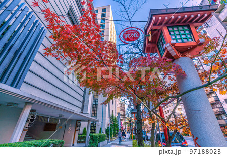日本の東京都市景観 水天宮前の御神燈。秋(紅葉)とお正月(謹賀新年の提灯)が“同居”=12月12日 日本の東京都市景観 水天宮前の御神燈。秋(紅葉)とお正月(謹賀新年の提灯)が“同居”=12月12日 97188023