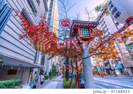 日本の東京都市景観　水天宮前の御神燈。秋（紅葉）とお正月（謹賀新年の提灯）が“同居”＝12月12日 97188024