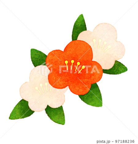 梅の花 97188236