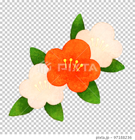 梅花 97188236