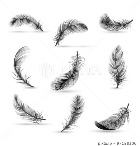 Realistic Feather Black Icon Set Realistic Feather Black Icon Set 97188306