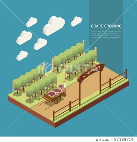 Wine Production Isometric Composition Wine Production Isometric Composition 97188714