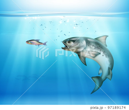 Hunting Fish Realistic Background 97189174