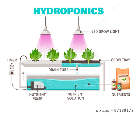 Hydroponics Farming Concept 97189178
