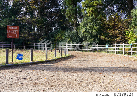 相模原麻溝公園 クロスカントリーコース 相模原麻溝公園 クロスカントリーコース 97189224