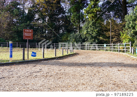 相模原麻溝公園 クロスカントリーコース 相模原麻溝公園 クロスカントリーコース 97189225