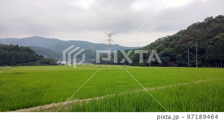 田園風景 97189464