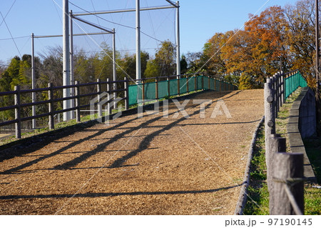 相模原麻溝公園 クロスカントリーコース 相模原麻溝公園 クロスカントリーコース 97190145