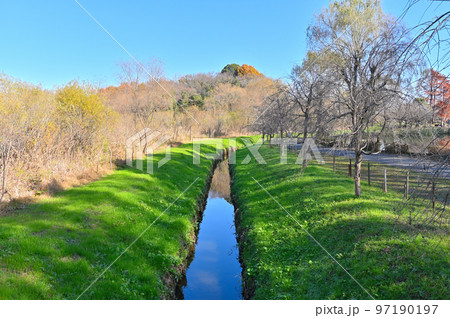 上尾丸山公園の風景　埼玉県上尾市　 97190197