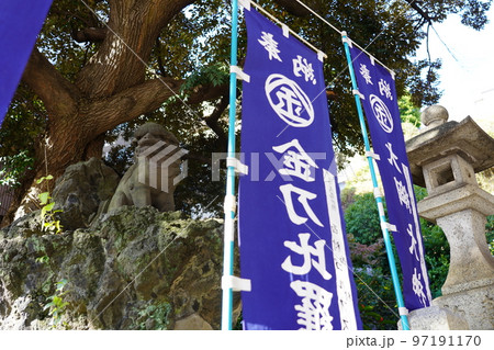 大綱金刀比羅神社 狛犬 ～横浜市神奈川区～ 97191170