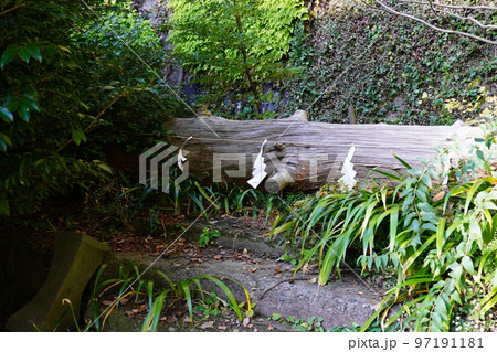 大綱金刀比羅神社 旧社殿の鎮座地 ～横浜市神奈川区～ 97191181