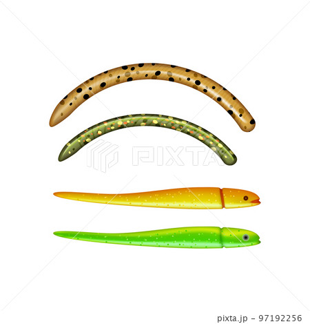 Baits Realistic Illustration 97192256