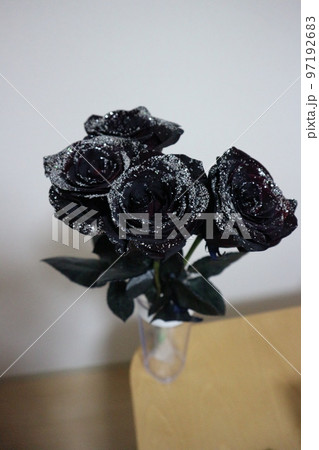 黒い薔薇 花束 4輪の薔薇 ラメ付き 黒い薔薇 花束 4輪の薔薇 ラメ付き 97192683