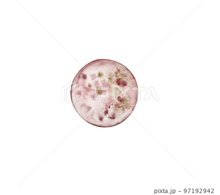 Hand drawn watercolor illustration of the moon. Different phases of the moon isolated on white background. Hand painted modern space design.Fairytale magical objects in a watercolor style.  97192942
