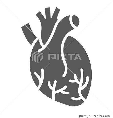 Human heart glyph icon, anatomy and biology, Cardiology sign, vector graphics, a linear pattern on a white background, eps 10. 97193380