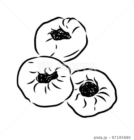 Indian, Asian food delicious samsa. Vector hand drawn illustration.sketch 97195880