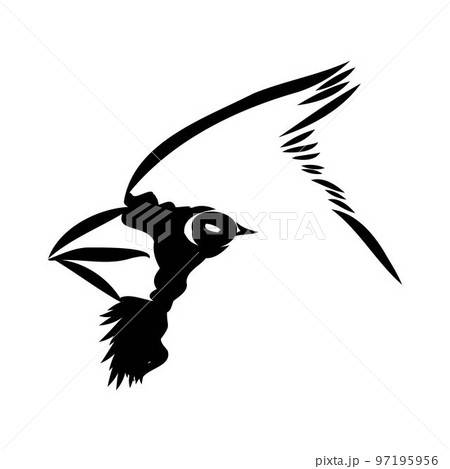 Cardinal bird sketch, vector illustration. Hand drawn red cardinal bird. Engraved illustration. Cardinal bird sitting on a branch. Hand drawn sketch. 97195956