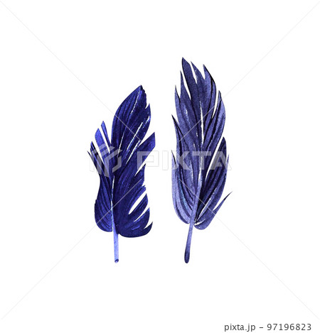 purple feathers watercolor on isolated white background, hand drawn. Perfect for card design, invitation, scrapbooking, fabric printing. 97196823
