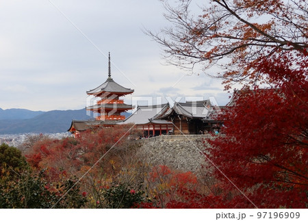 京都市にある日本のお寺：清水寺の境内にある三重塔の遠景と本堂 97196909