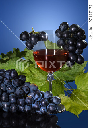 A glass of grape wine and a bunch of grapes on a blue background A glass of grape wine and a bunch of grapes on a blue background 97197177