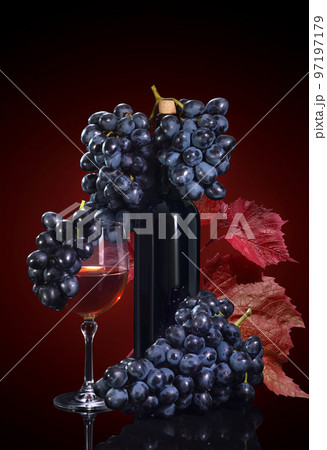 Beautiful blue grapes and grape wine, on a black red background Beautiful blue grapes and grape wine, on a black red background 97197179