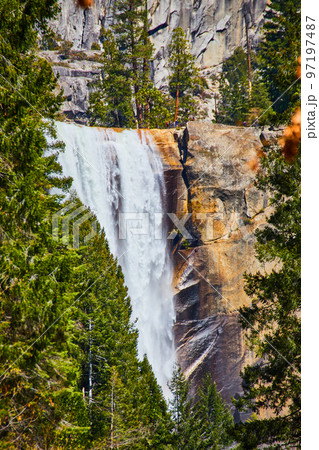 Vernal Falls through pine trees at Yosemite National Park Vernal Falls through pine trees at Yosemite National Park 97197487