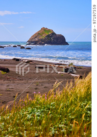 View of sandy beach from grasses with waves and large rocks 97197559
