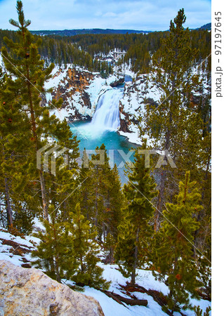 View of Lower Falls in Yellowstone winter through pine trees View of Lower Falls in Yellowstone winter through pine trees 97197645
