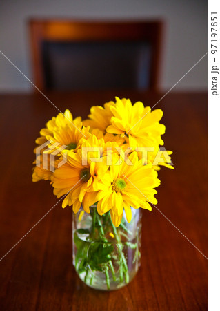 Close up still life of yellow daisy flowers in a mason jar sitting on a wooden table with a chair in the background 97197851