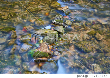 Small moss-covered rocks in a shallow riverbed 97198532