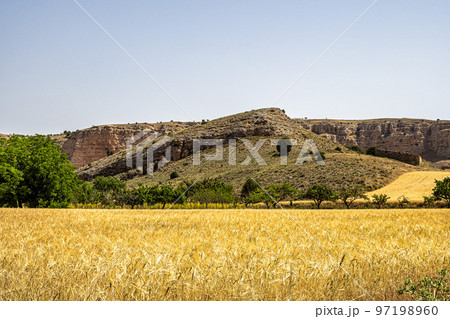 View of Hoces gorges del Rio Riaza Natural Reserve near Segovia in Spain 97198960