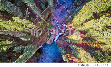 Aerial looking down at canyon gorge with red rocks and pine trees Aerial looking down at canyon gorge with red rocks and pine trees 97199271