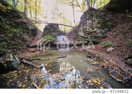 Fall leaves in muddy water by small dripping waterfall in forest 97199672
