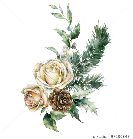Watercolor Christmas bouquet of white rose, pine branch, berries and leaves. Hand painted holiday card of flowers and plants isolated on white background. Illustration for design, print, background. Watercolor Christmas bouquet of white rose, pine branch, berries and leaves. Hand painted holiday card of flowers and plants isolated on white background. Illustration for design, print, background. 97200348